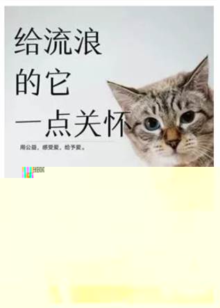 說明:IMG_256